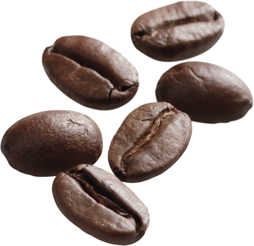 Coffee Bean